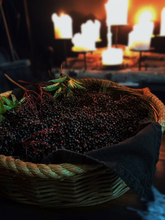 A Hearthside Tale of the Lady Elder