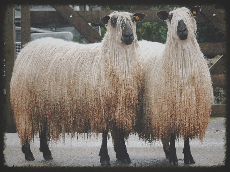 Teeswater Fleece Mantle