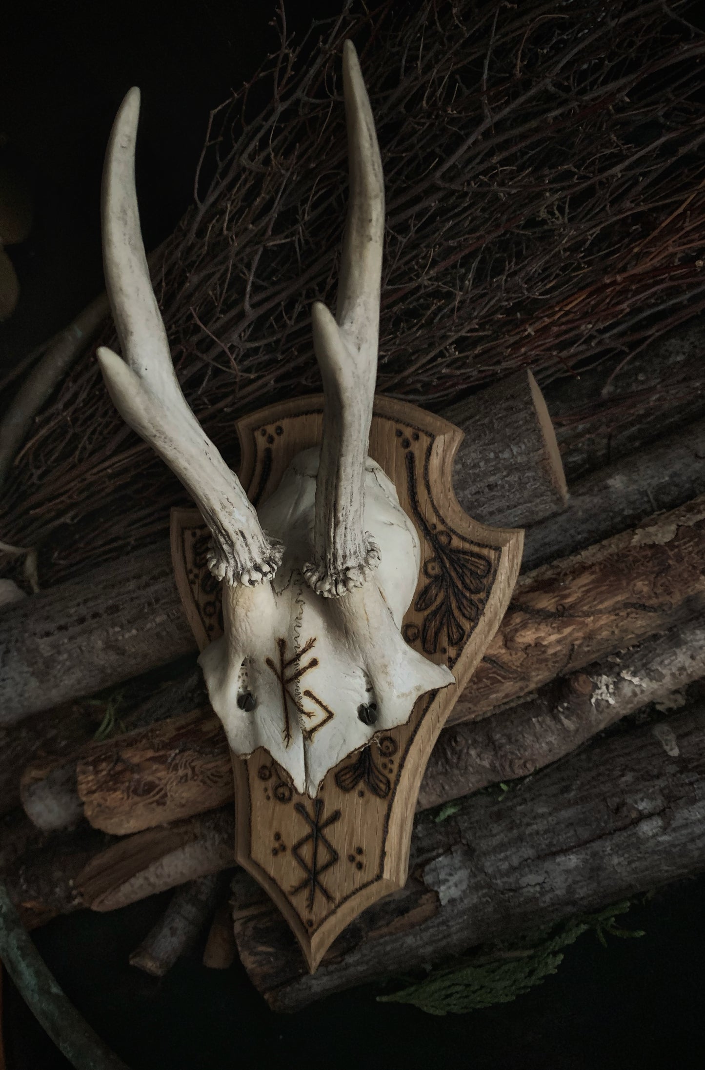 Prosperity & Protection Mounted Deer Antlers