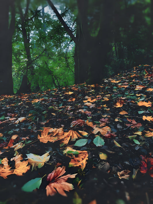 Between the Veil and the Hearthfire