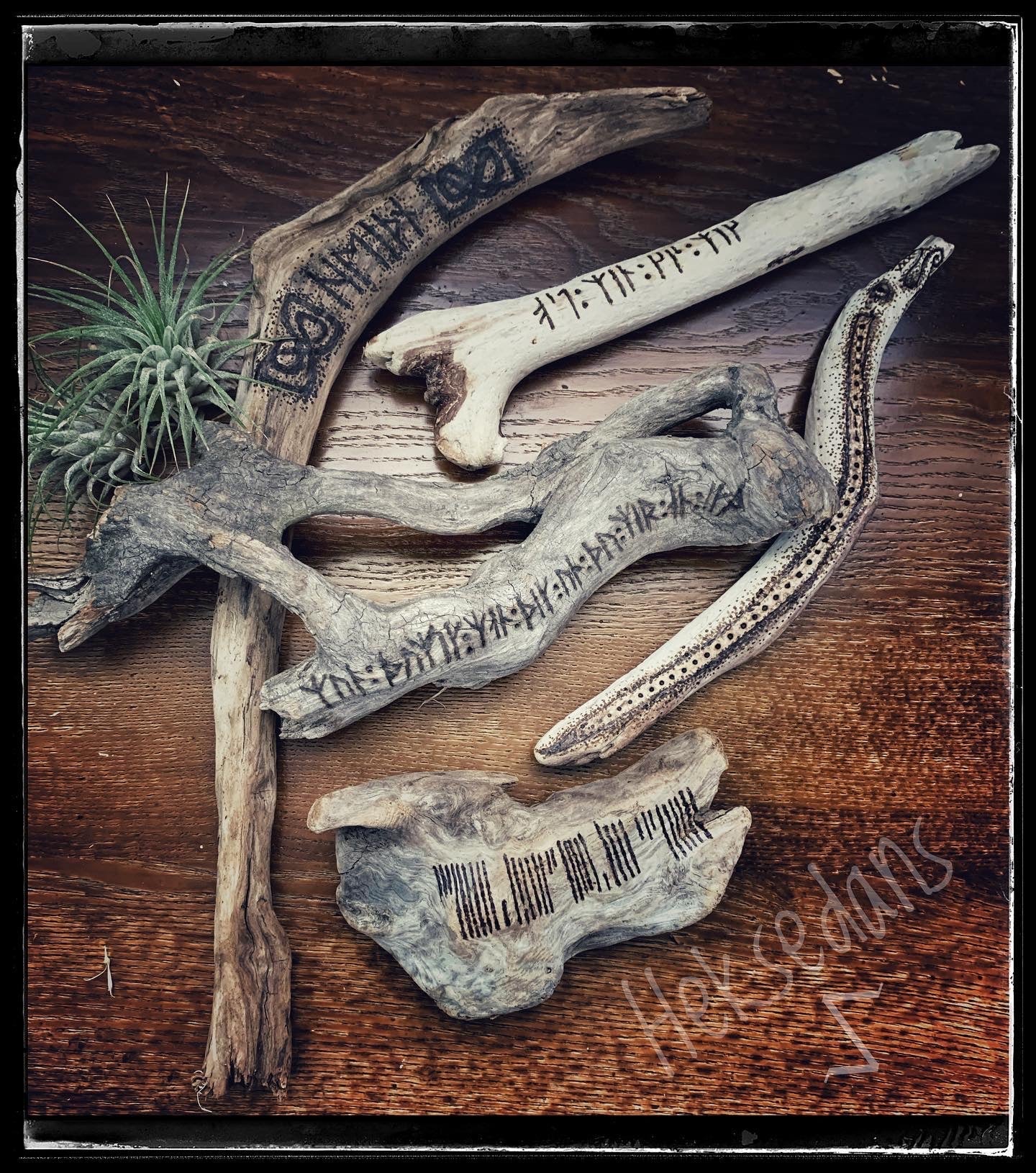 Driftwood sticks with runic messages done with pyrography. Air plants rest next to them. Wooden background.