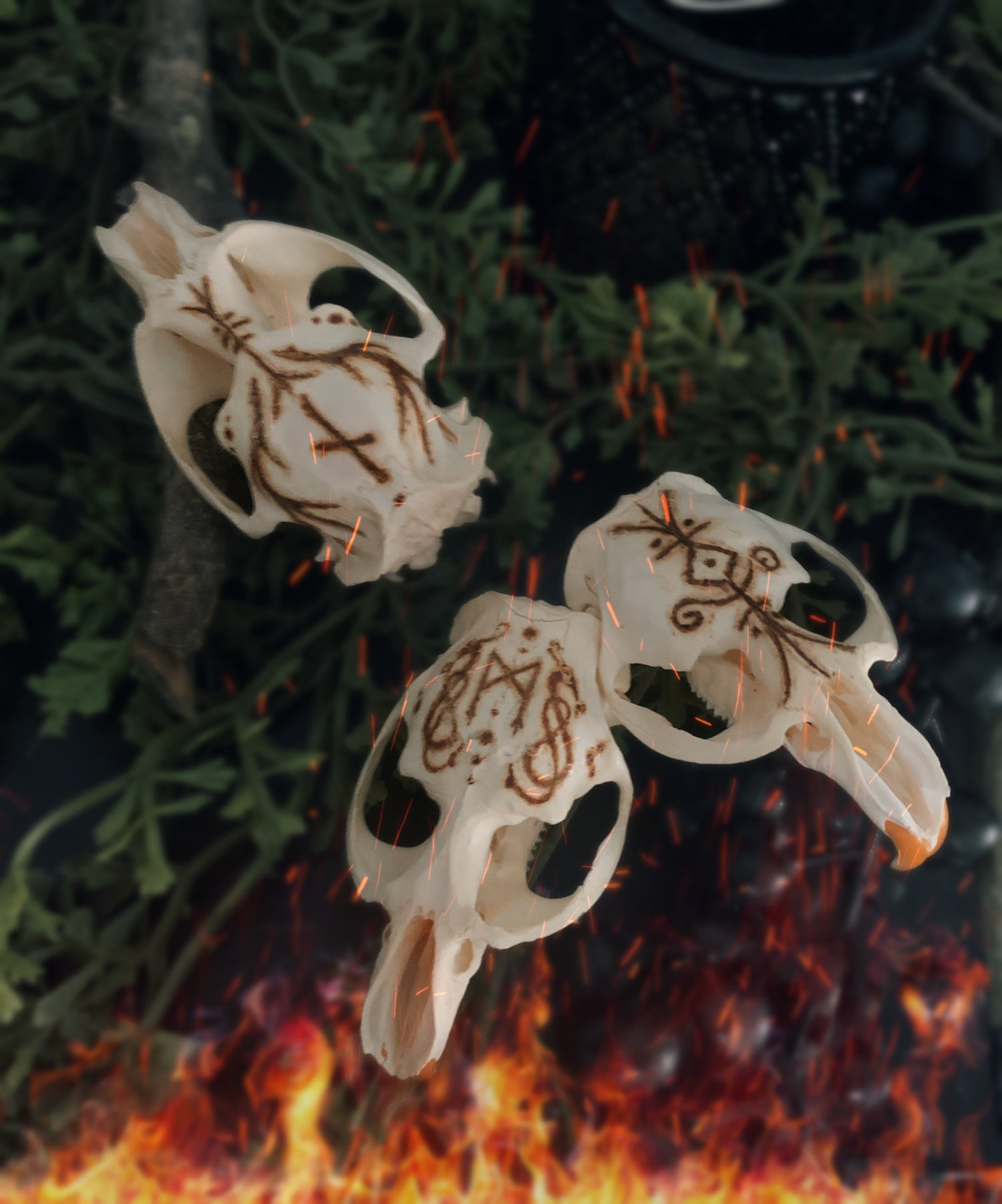 Burned Skulls