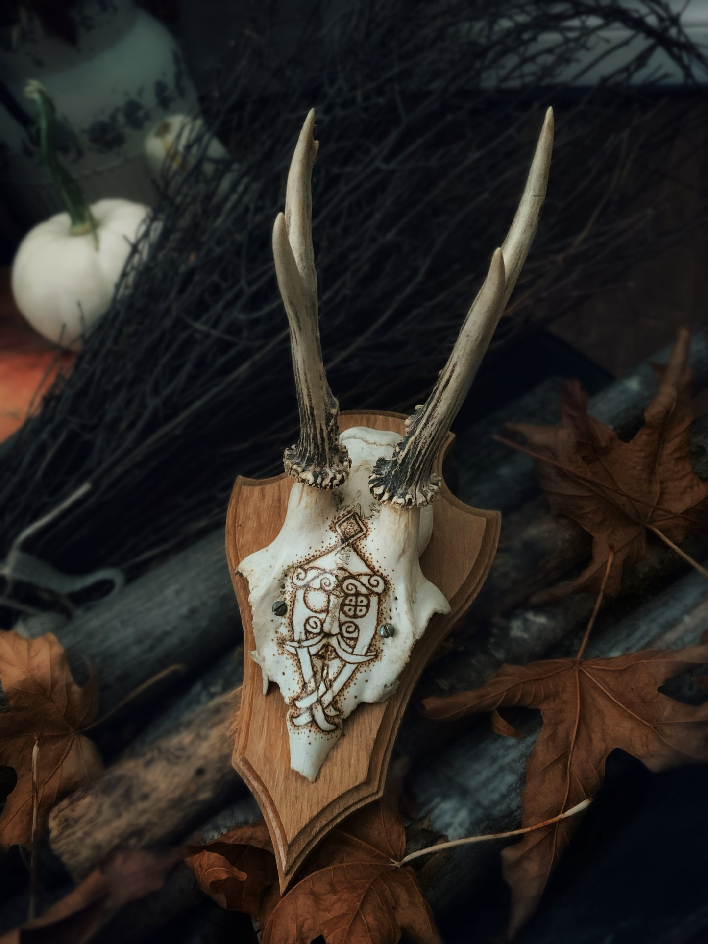 Odin God Mask Mounted Antlers