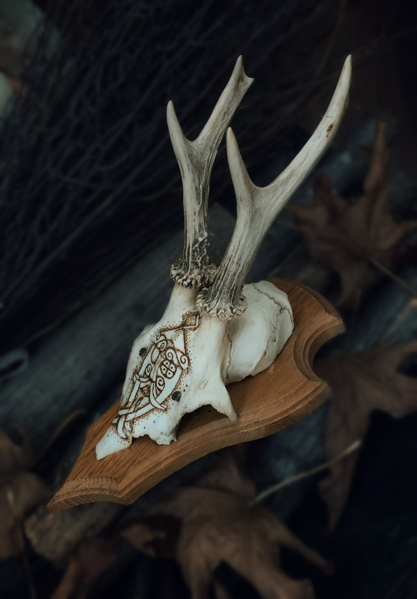 Odin God Mask Mounted Antlers