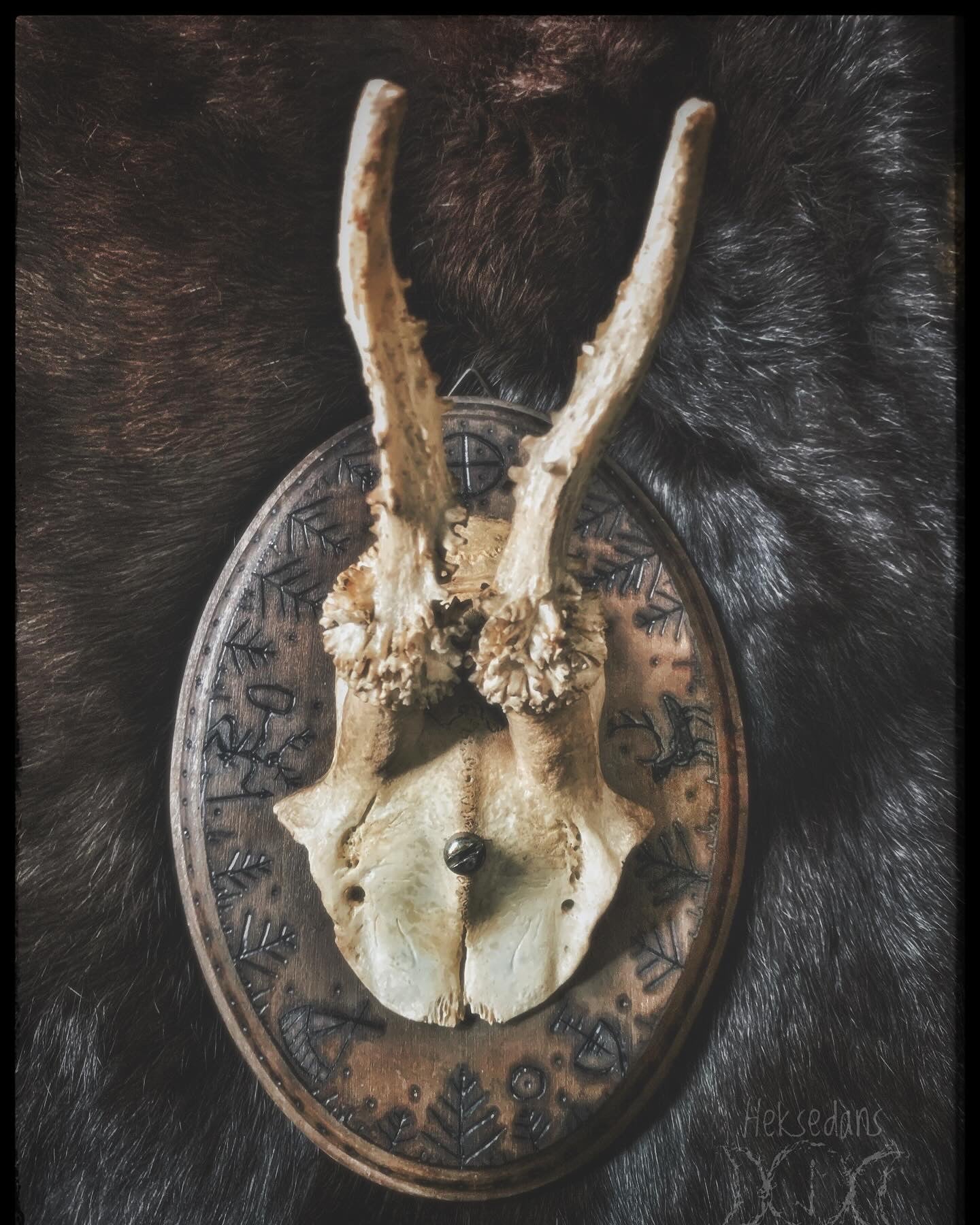 Sámi Symbols Mounted Antlers