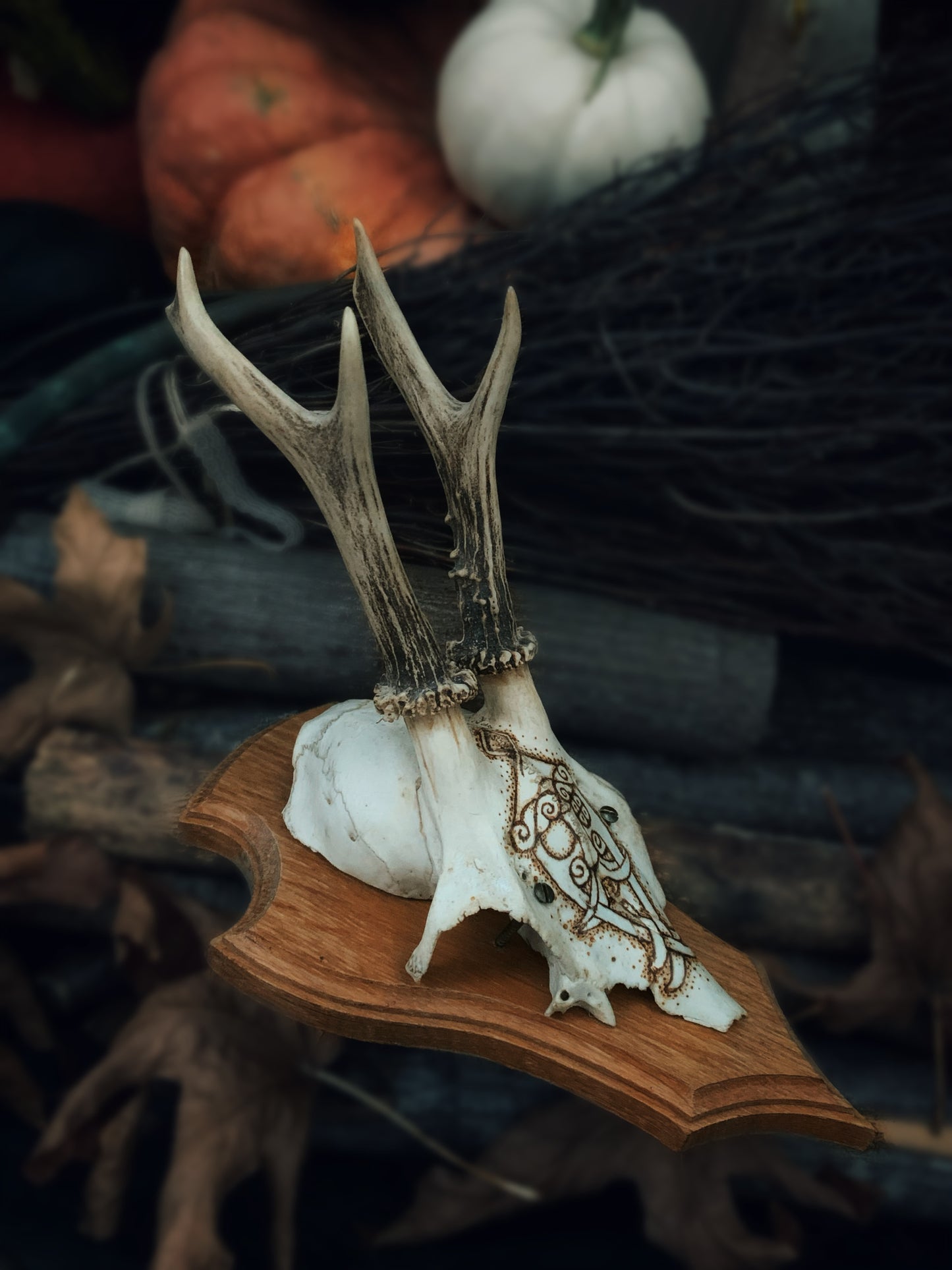 Odin God Mask Mounted Antlers