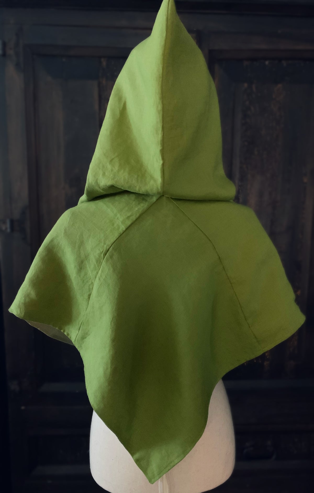 Skjoldehamn Viking Hood
