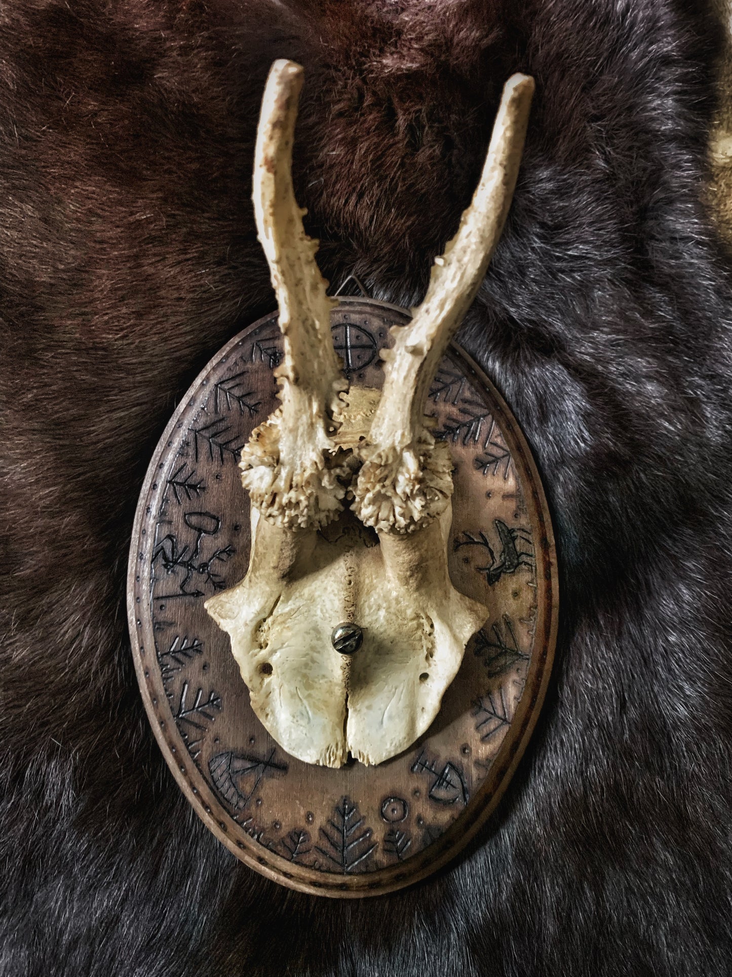 Sámi Symbols Mounted Antlers