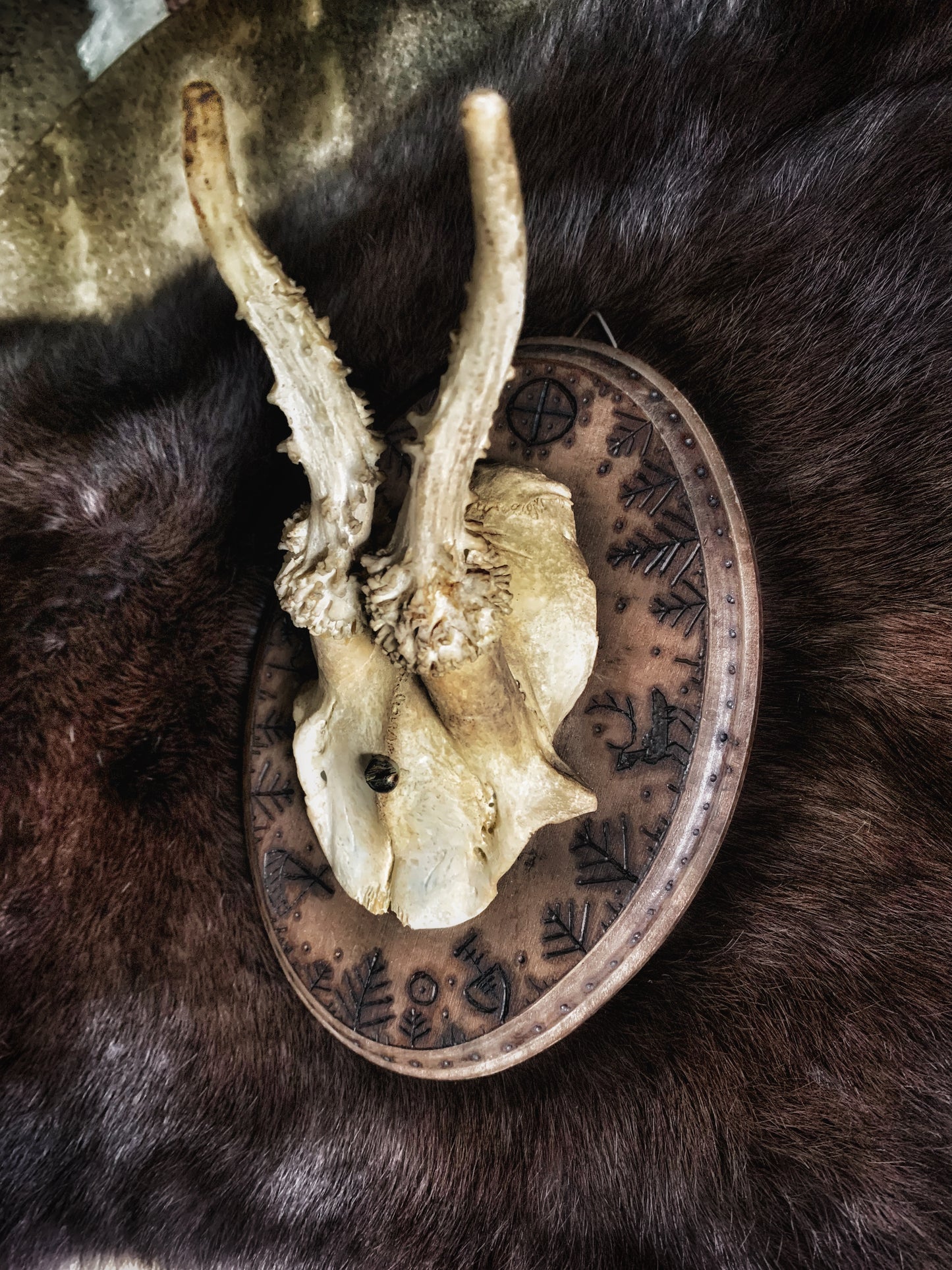 Sámi Symbols Mounted Antlers