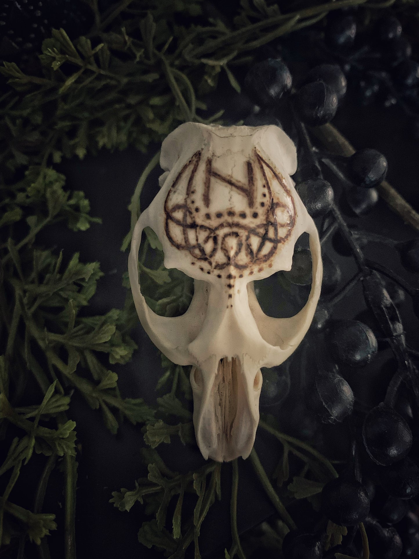 Hagalaz Burned Skull