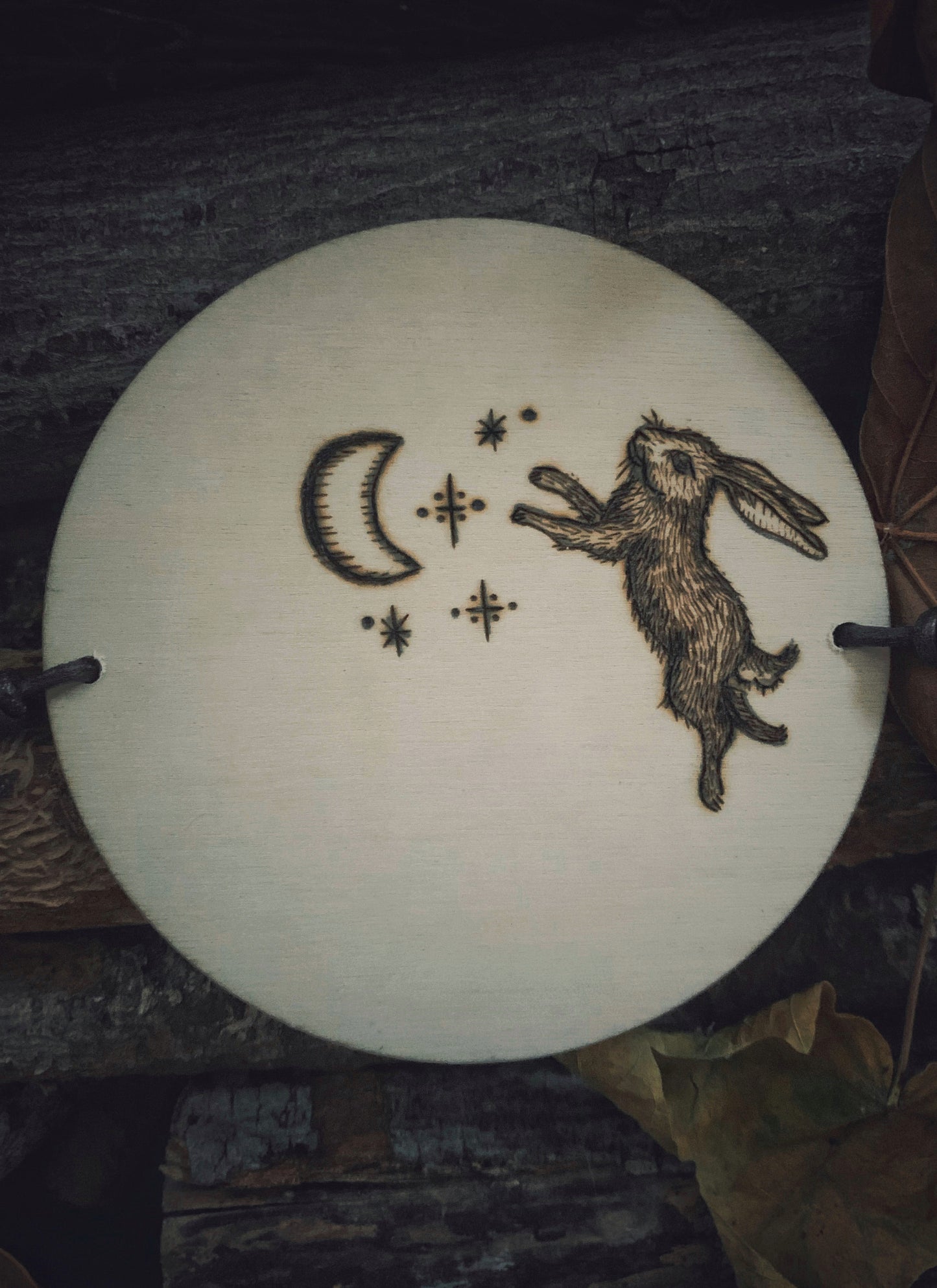 The Fox & the Hare Thaumatrope