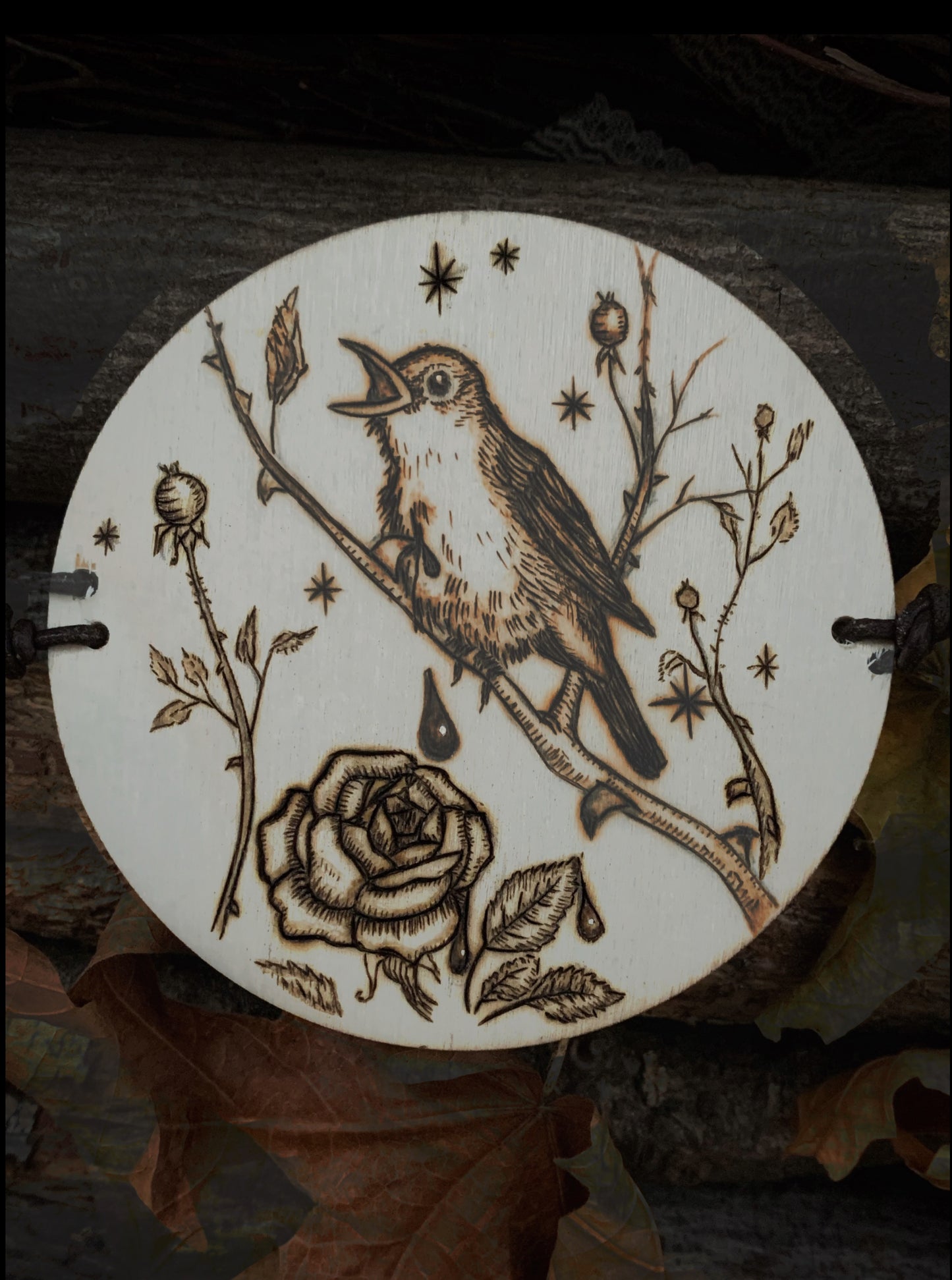 The Nightingale & the Rose Thaumatrope