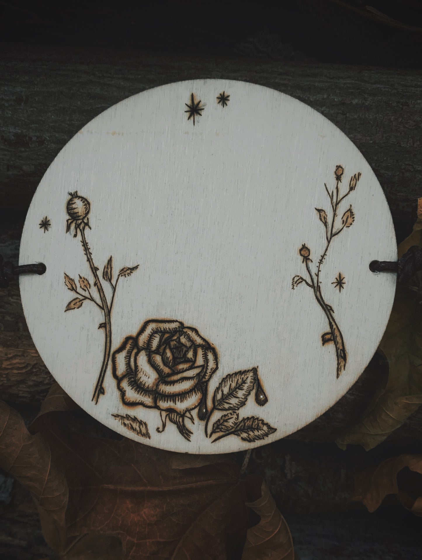The Nightingale & the Rose Thaumatrope