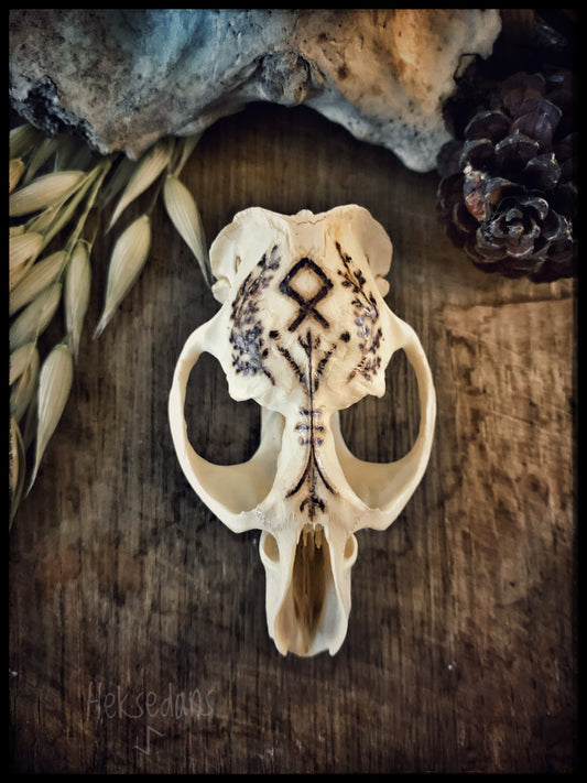 Othala Rune Skull