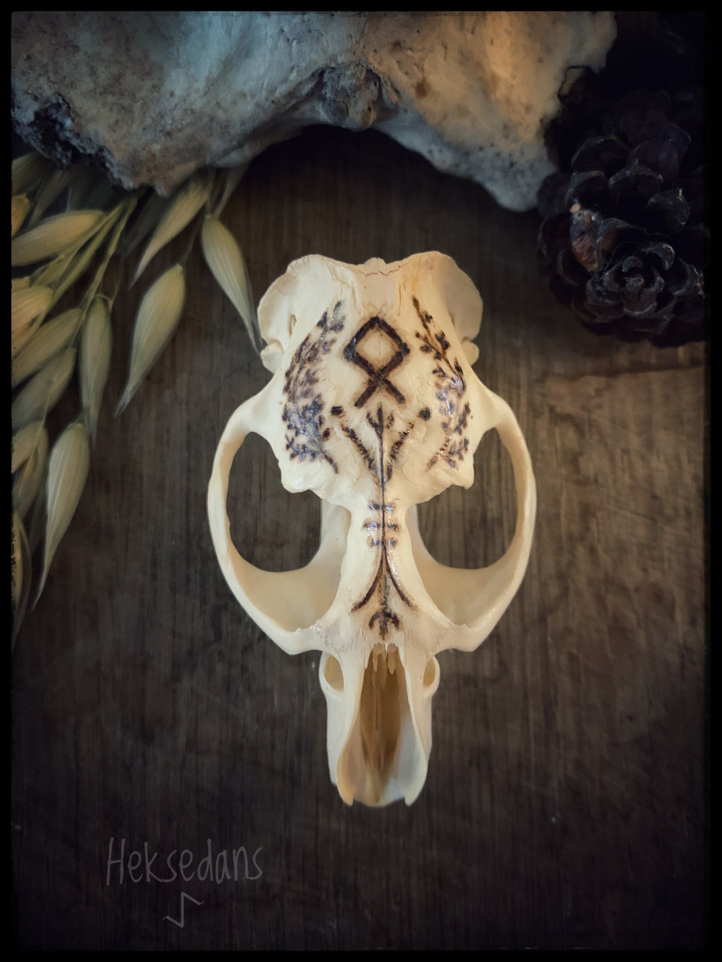 Othala Rune Skull