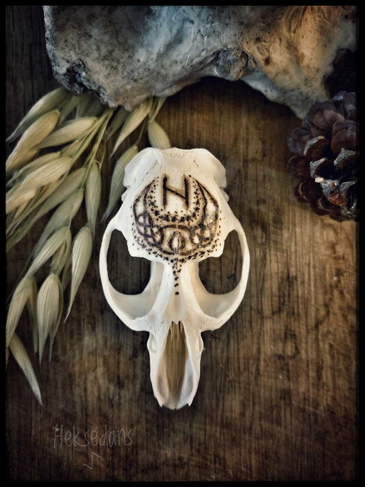 Hagalaz Rune Skull