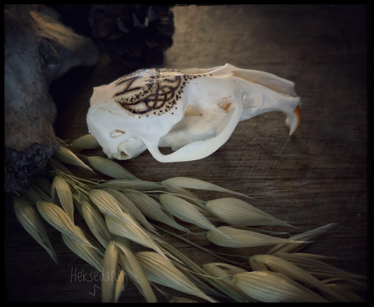 Hagalaz Rune Skull