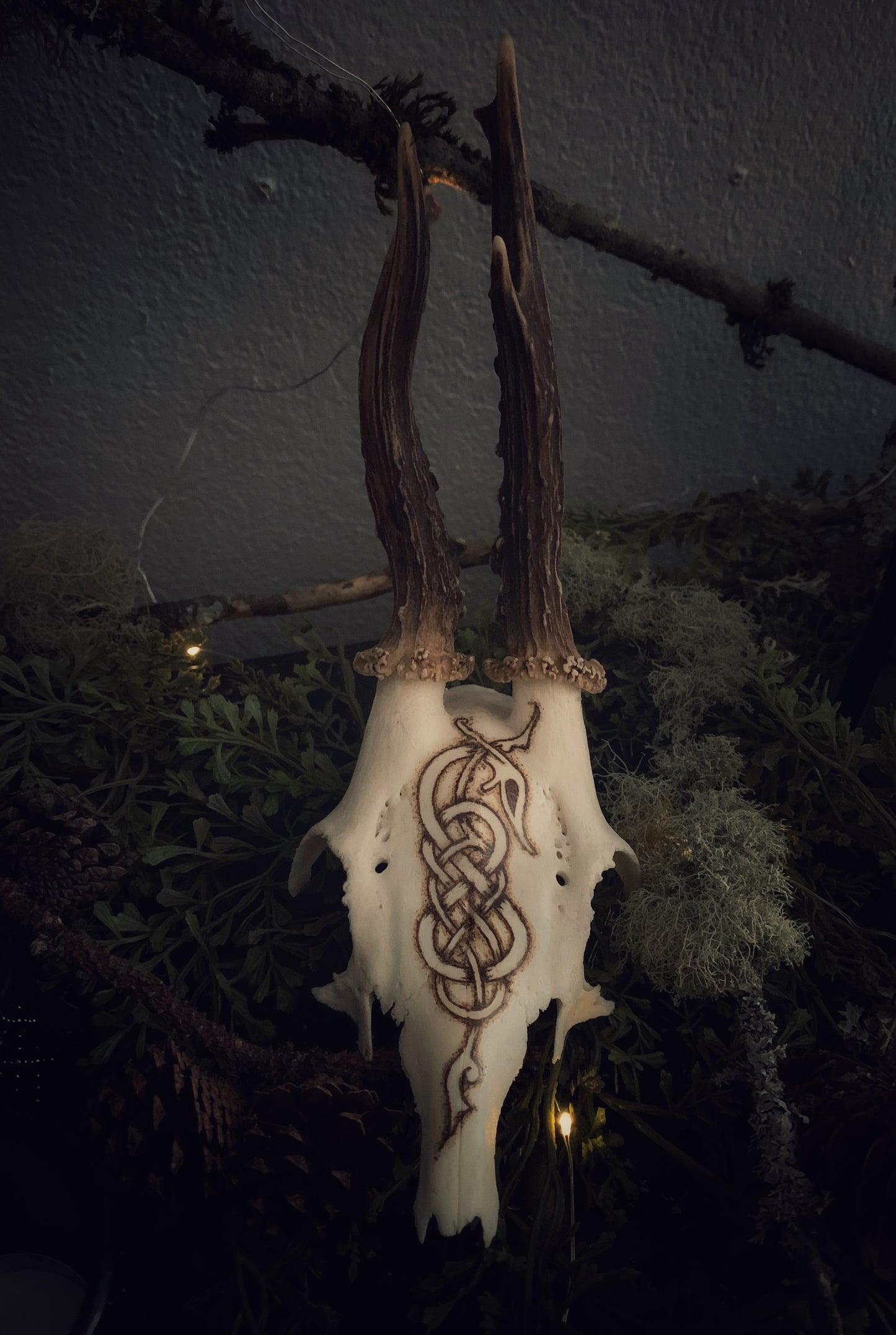Urnes Wyrm Deer Antler Partial Skull