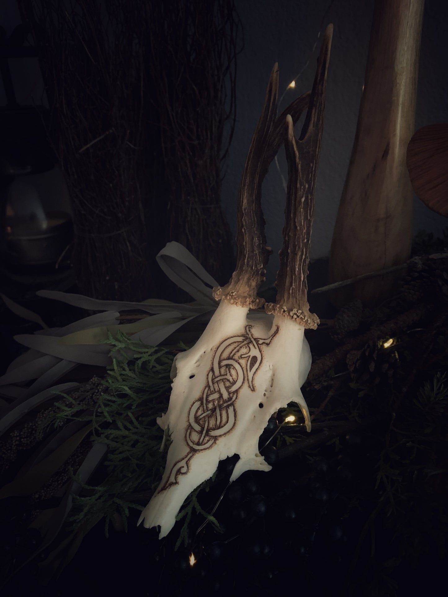 Urnes Wyrm Deer Antler Partial Skull