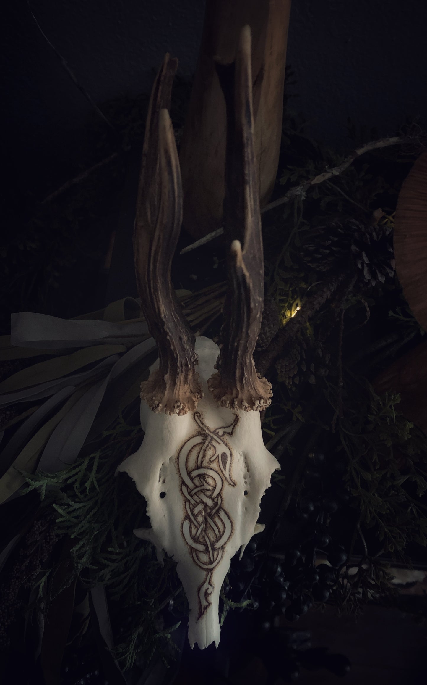 Urnes Wyrm Deer Antler Partial Skull