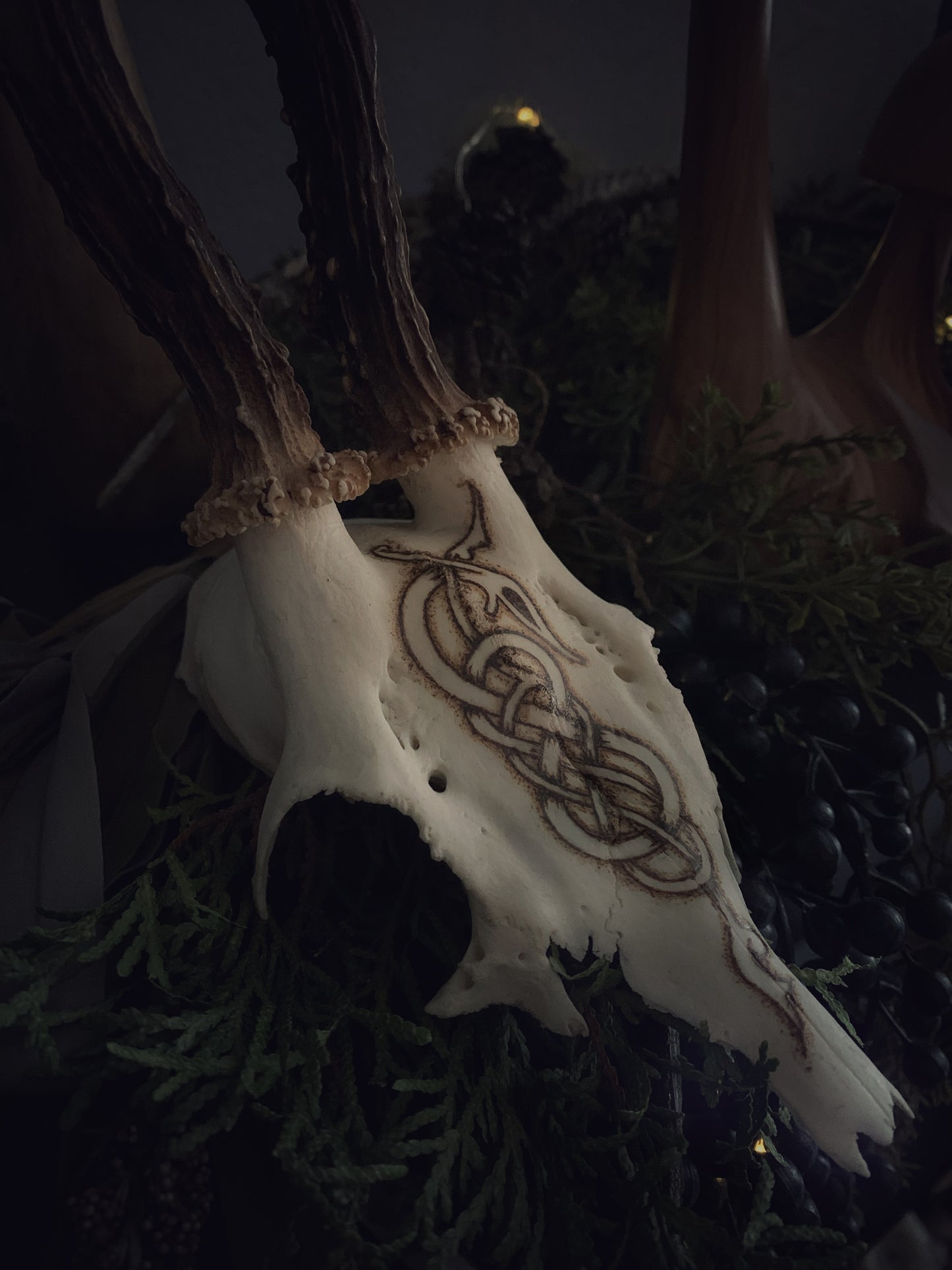 Urnes Wyrm Deer Antler Partial Skull
