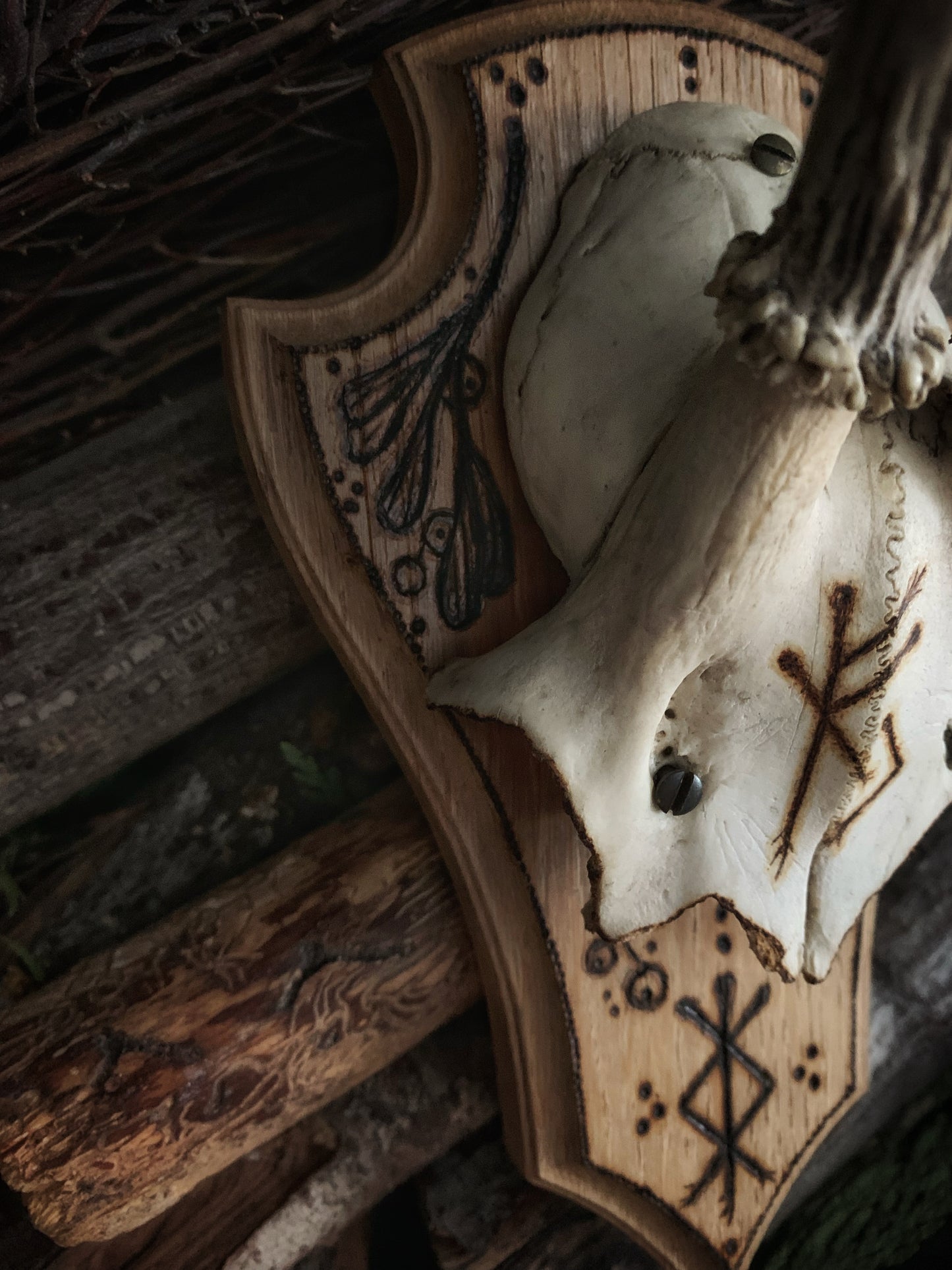 Prosperity & Protection Mounted Deer Antlers