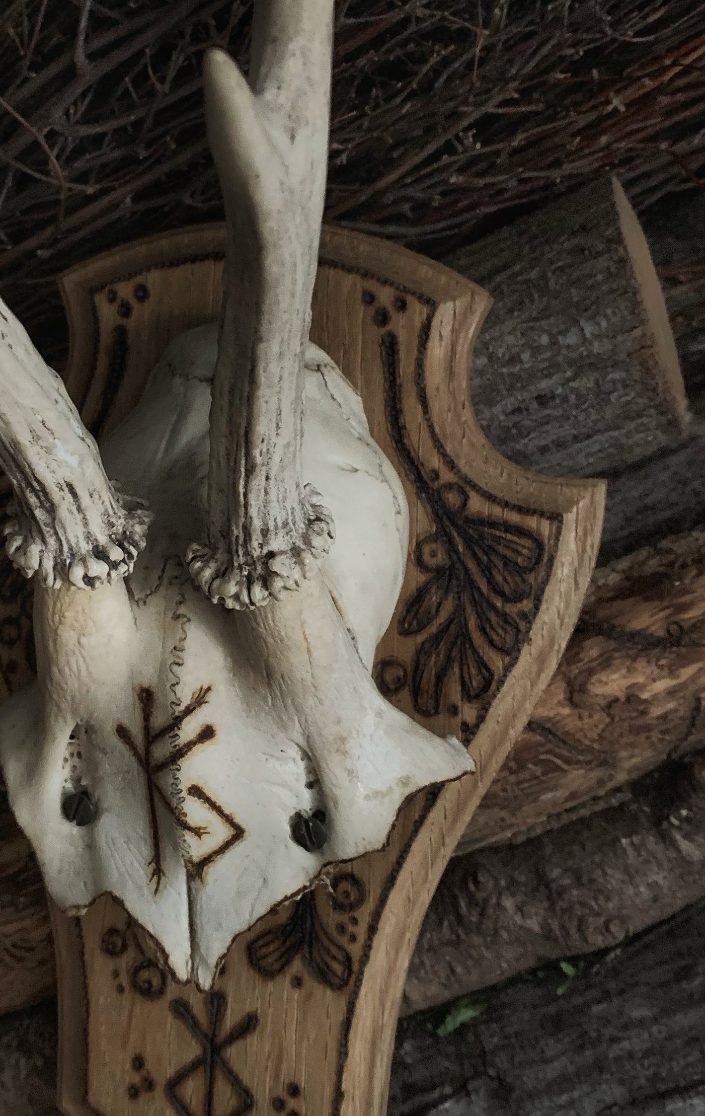 Prosperity & Protection Mounted Deer Antlers