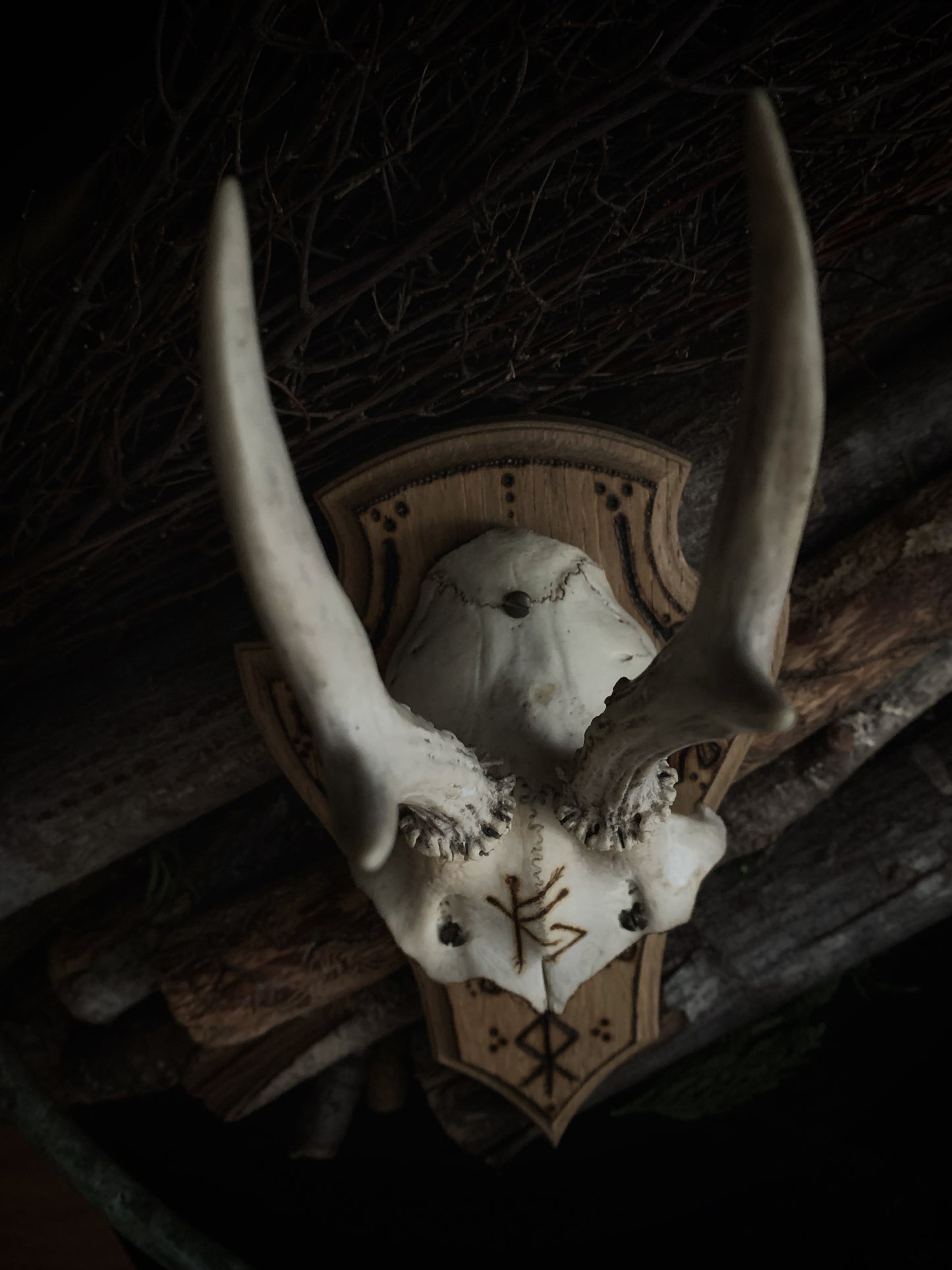 Prosperity & Protection Mounted Deer Antlers