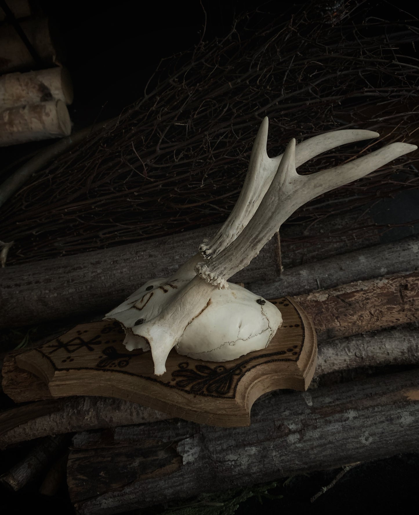 Prosperity & Protection Mounted Deer Antlers