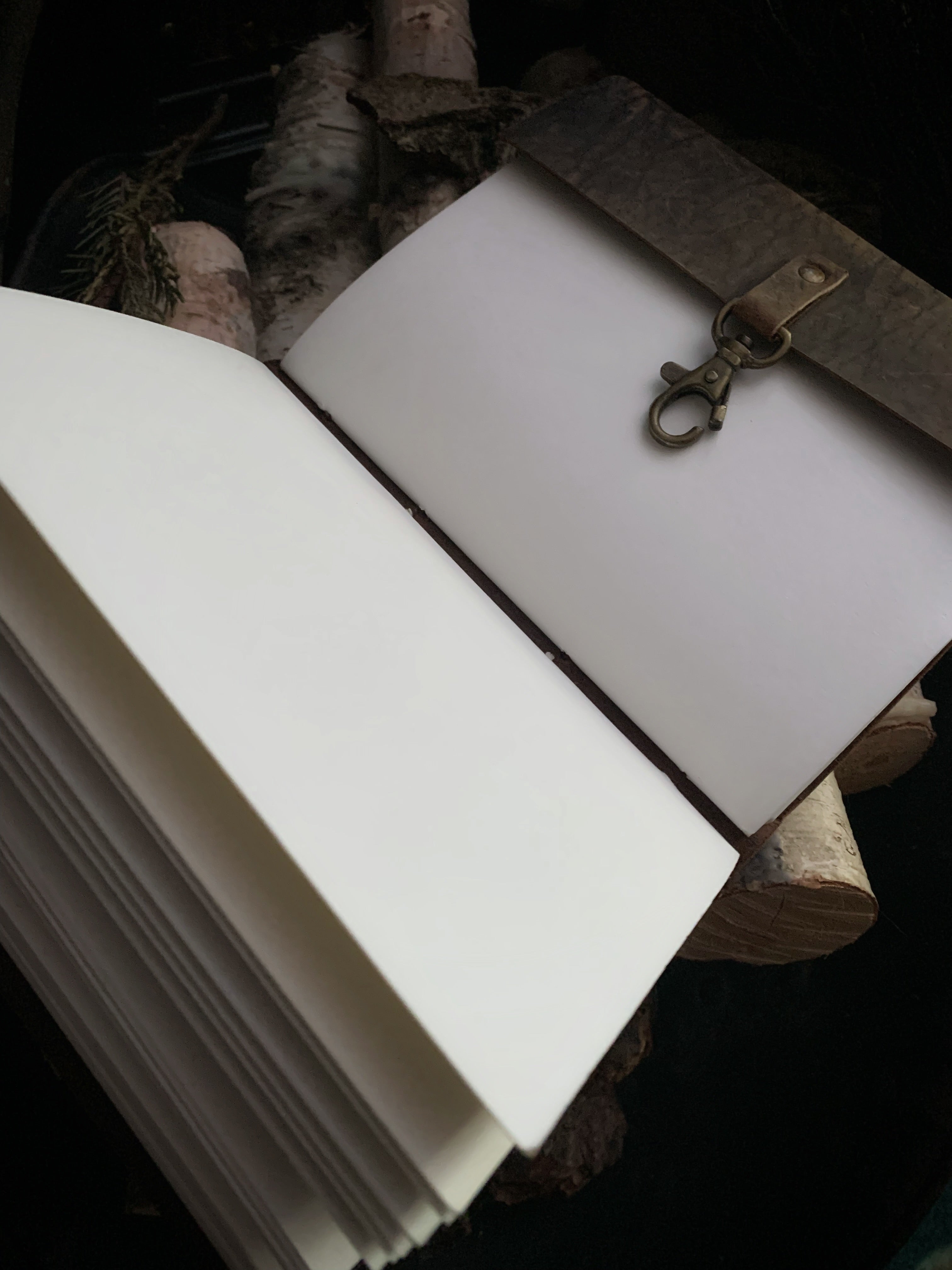 Prosperity BIndrune Travel Journal