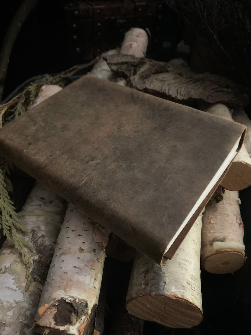 Prosperity BIndrune Travel Journal