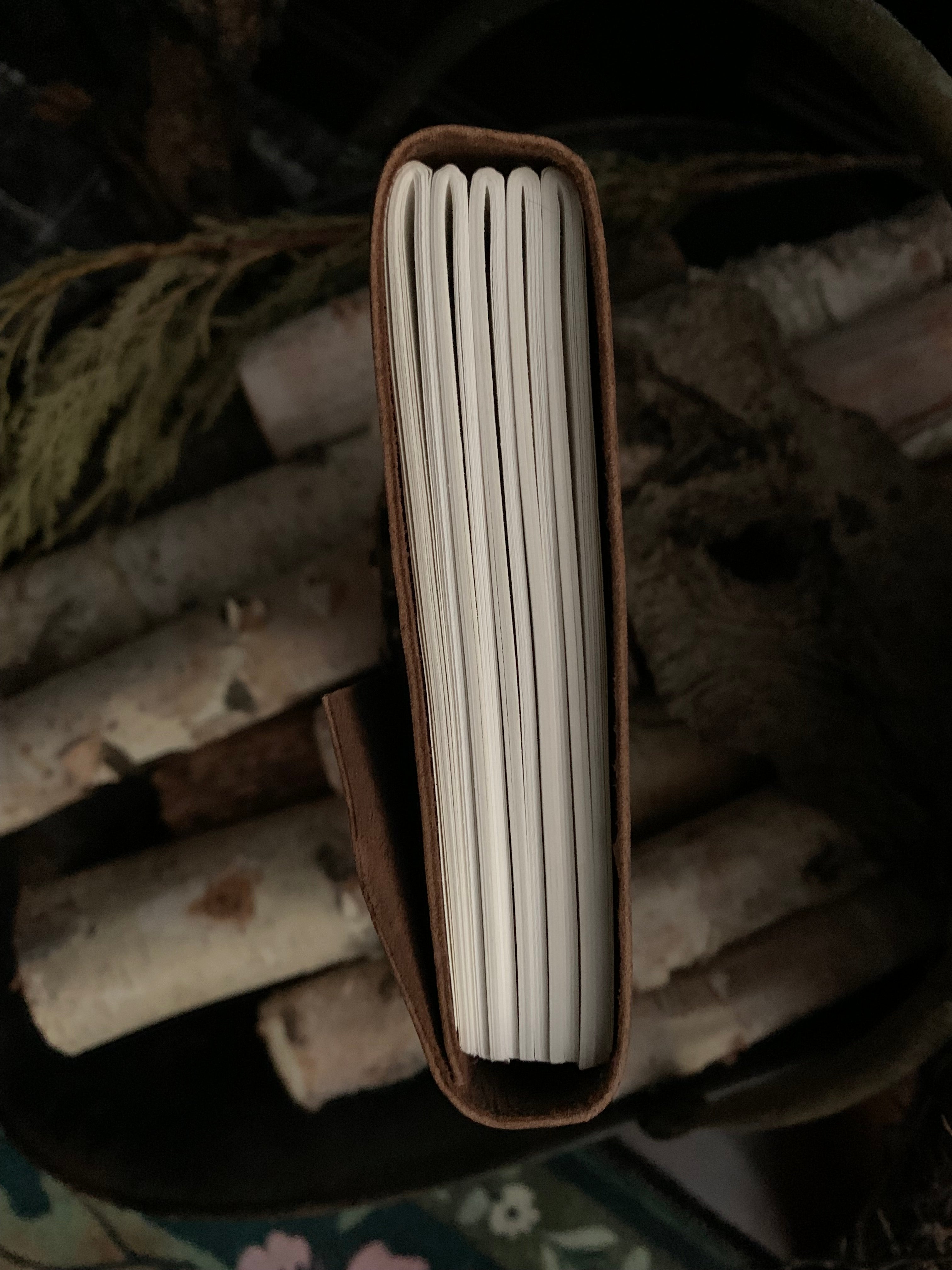 Prosperity BIndrune Travel Journal